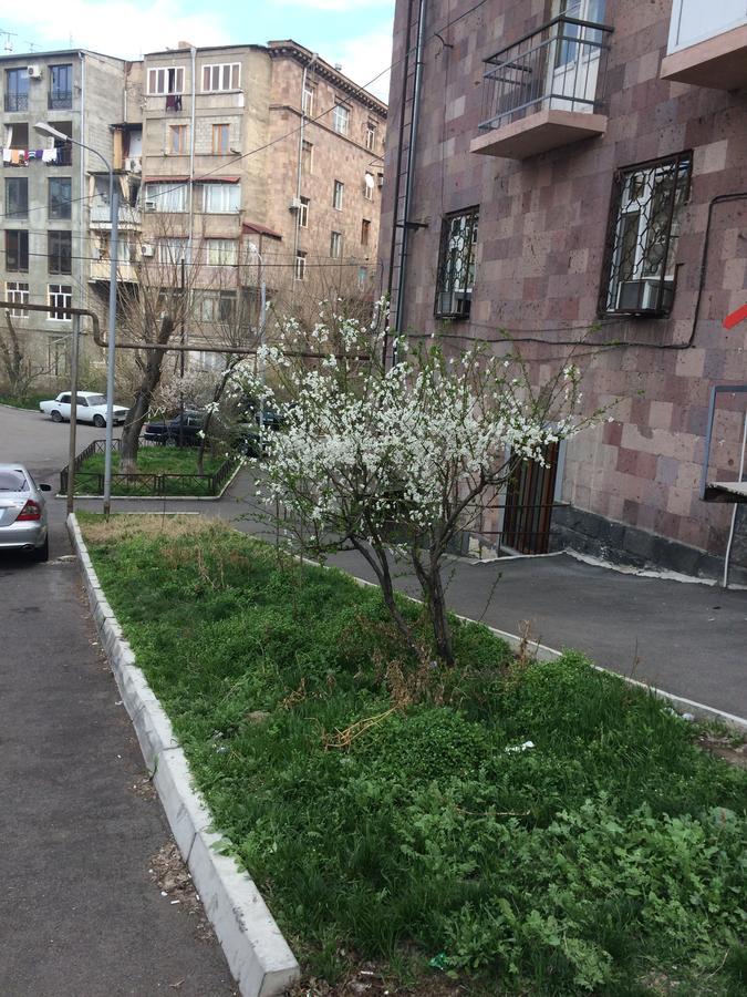 Apartment In The Center Of Ереван Экстерьер фото